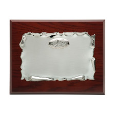 Placa plateada 25 aniversario 23x19 cm