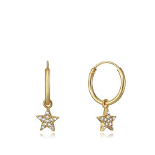 Viceroy pendientes 7115e100-38 plata dorada mujer