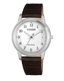 Reloj Citizen fe6011-14a mujer
