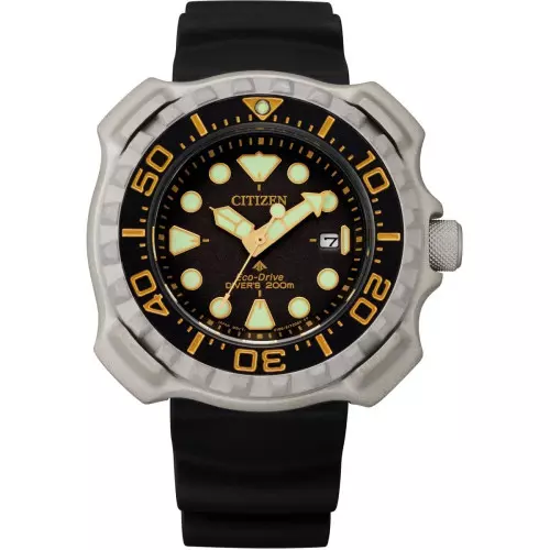 Reloj Citizen bn0220-16e promaster hombre