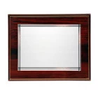 Placas de plata 21x15 cm exterior 16x12 cm plata