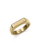 Viceroy sello acero dorado 15213A02012 hombre