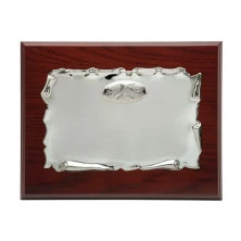 Placa plateada 25 aniversario 23x19 cm