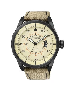 Relojes Citizen AW1365-19P hombre Aviator