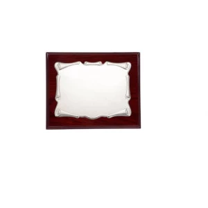 Placas de plata 23x19 cm exterior 17x11 cm plata P-2003-2P
