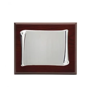 Placa de plata pergamino 29x23 cm exterior 20,5x15 cm plata p-2000