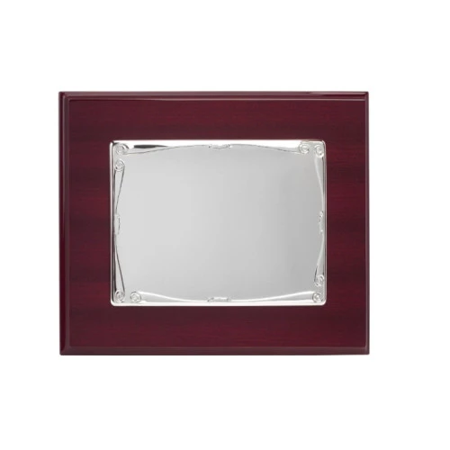 Placa de plata 32x24.5 cm exterior